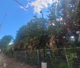Exterior light pole installed at 3430 Carling Avenue in Ottawa